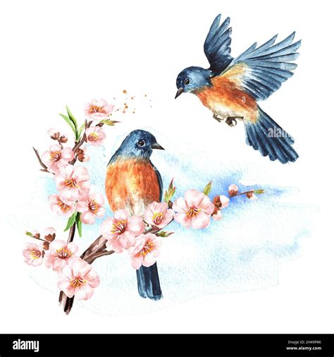 Birds And Cherry Blossom Branch Spring Card Concept Watercolor Hand