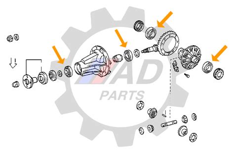 Rolamentos Diferencial Traseiro Toyota Hilux At