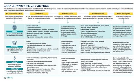 Introducing The Risk And Protective Factors Infographic National