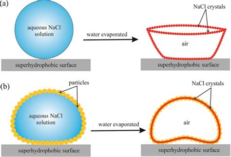 The Evaporation Processes Of A Naked Aqueous Nacl Solution Drop A And