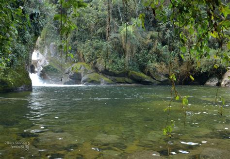 O Que Fazer No Parque Nacional De Itatiaia Rj Cachoeiras E Mais