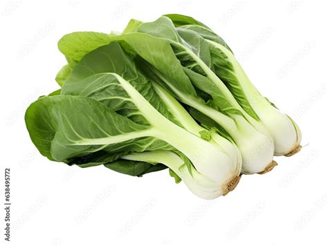 Bok Choy Also Known As Pak Choi Or Chinese Cabbage Is A Leafy Green