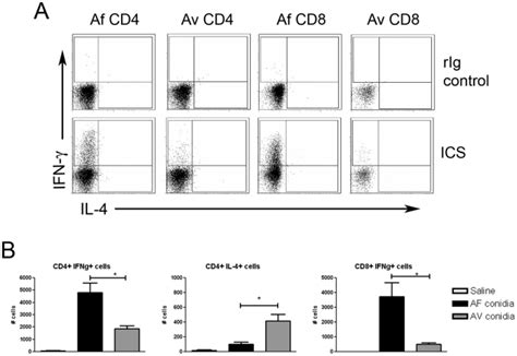 A Flow Cytometric Dot Plots Of Ifn γ And Il 4 Production In Balf Cd4