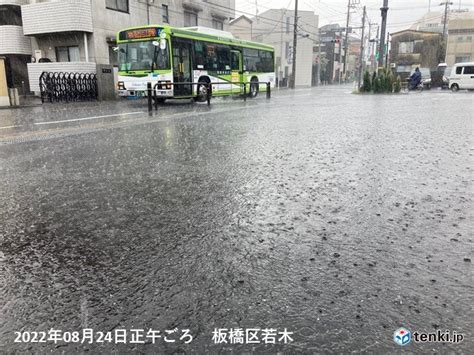 東京都内で局地的に雨雲が急発達 関東は午後も急な激しい雨や落雷に注意気象予報士 日直主任 2022年08月24日 日本気象協会