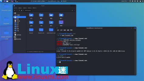 分享 5 个以隐私为中心的最佳 Linux 发行版 Linux迷