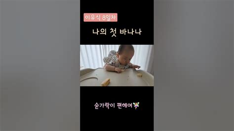 나의 첫 바나나 초기이유식 8일차 6개월아기 아이주도이유식 이유식식단 변비 먹방 핑거푸드 Blw My First