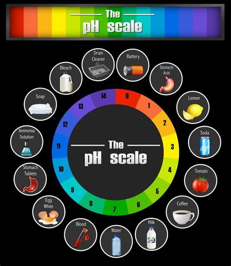 Science pH scale template 295875 Vector Art at Vecteezy