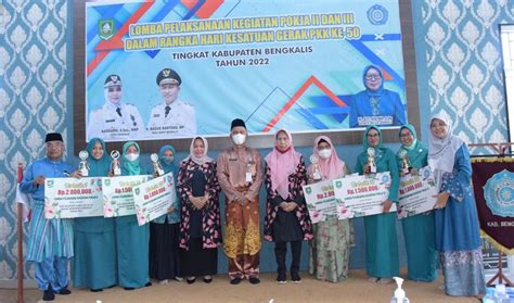 Berikut Pemenang Lomba Pelaksanaan Pokja II Dan III Tingkat Kabupaten