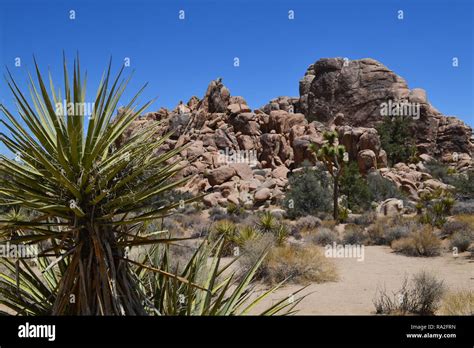 Monzogranite Rock Pile Hi Res Stock Photography And Images Alamy