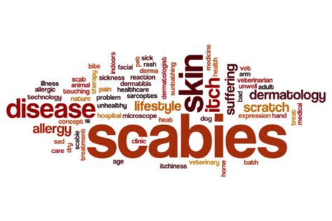 WHAT CAUSES SCABIES