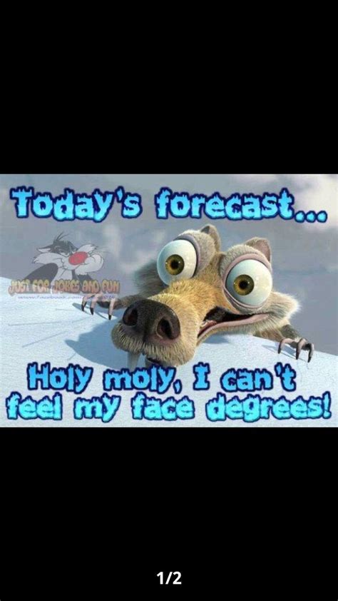 Pin By Vickie Johnson On Pacer Todays Forecast Thoughts Jokes