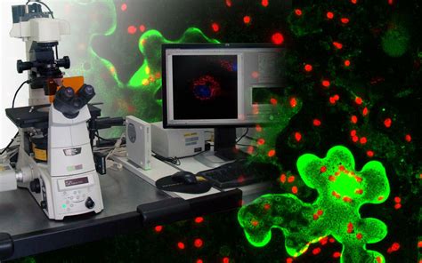 Laboratorio Microscopía Confocal