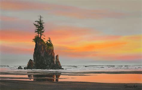 Sunset Treed Sea Stack The Jeffrey Hull Gallery Original