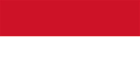 Premium Vector | Indonesia flag in vector