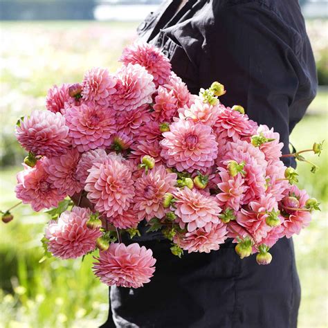 New biography explains who doris duke really was behind doors 5