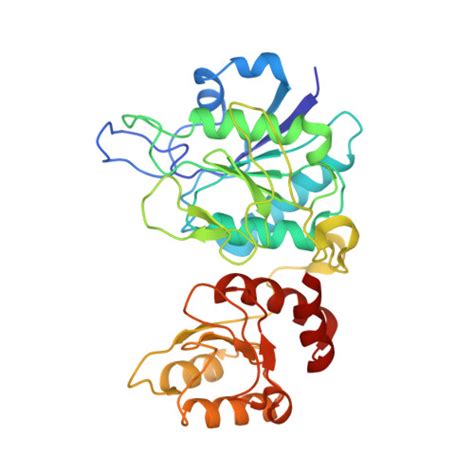 RCSB PDB 2WLT The Crystal Structure Of Helicobacter Pylori L