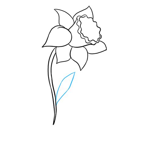 How to Draw a Daffodil - Really Easy Drawing Tutorial