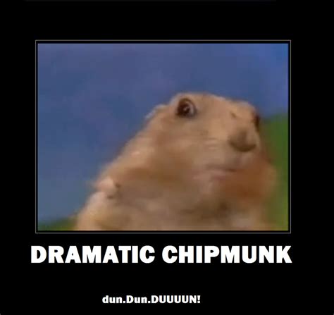 dramatic chipmunk | Dramatic Chipmunk | Know Your Meme