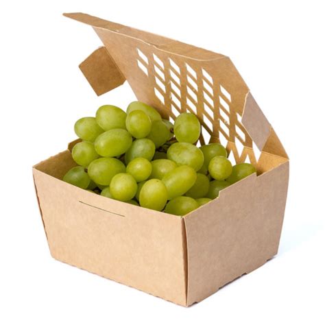 Fruit Tray Ideal Foodpack