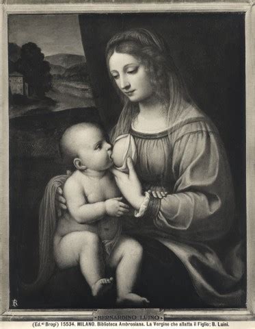 FONDAZIONE ZERI CATALOGO Luini Bernardino Madonna Con Bambino