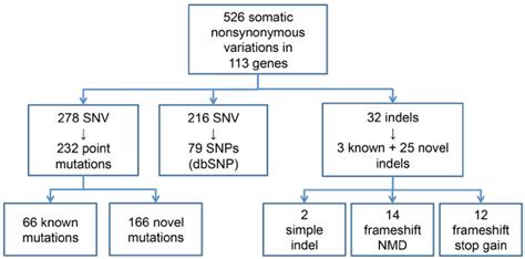 Summary Of Mutations Snv Single Nucleotide Variation Snp Single Download Scientific Diagram