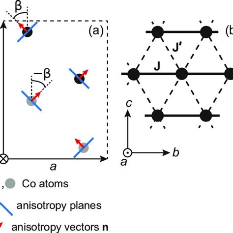 A Simplified Schematic Representation Of The Cs Cobr Structure