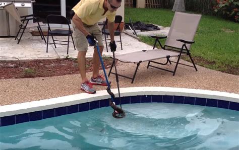 How To Remove Snake In Pool Updated 2019 Wildlife Removal Services