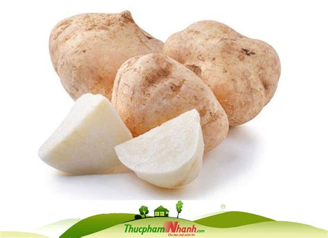 Củ sắn - Loại 1kg | Thucphamnhanh.com