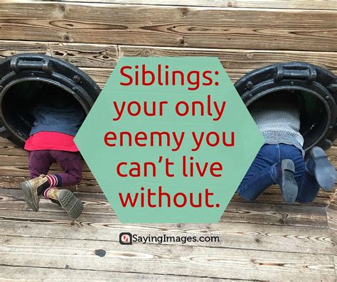 35 Sweet and Loving Siblings Quotes #sayingimages #quotes #siblings ...