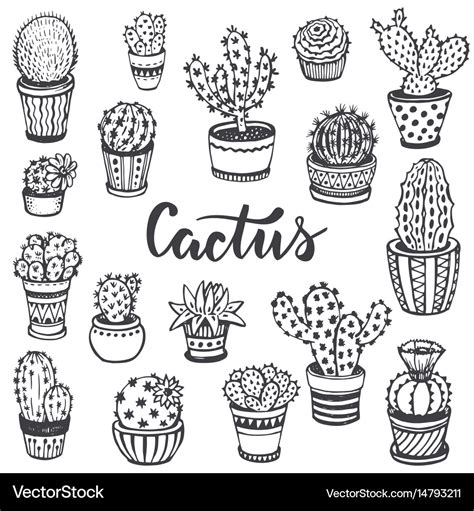 Collection Of Hand Drawn Cactus In Sketch Style Vector Image