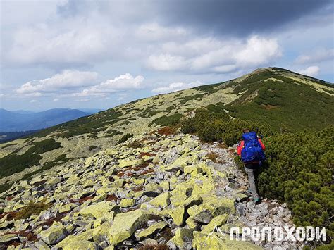 Маршрут #13. На вихідні в Центральні Ґорґани | ПроПоходи