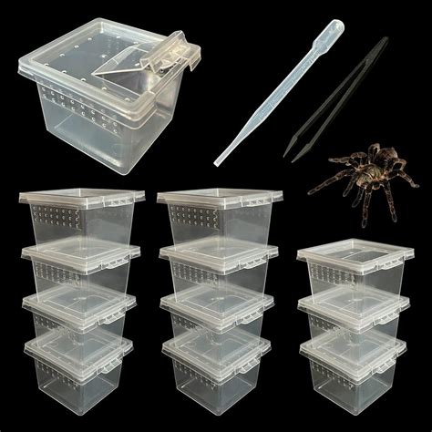 Amazon GKPONSX 12Pcs Jumping Spider Enclosure Plastic Reptile