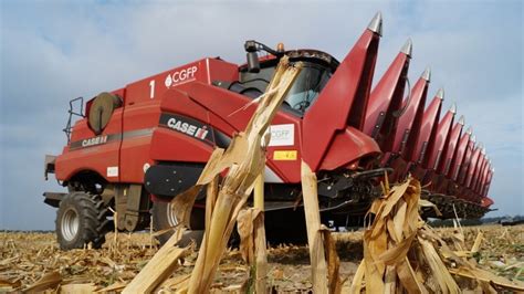 Akcja Kukurydza 2015 Kombajny Case IH Axial Flow 8230 Drugi Sezon W