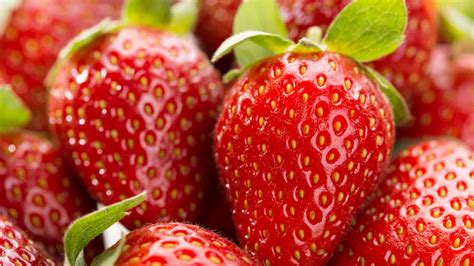 National Strawberry Day History Faqs Dates And Activities