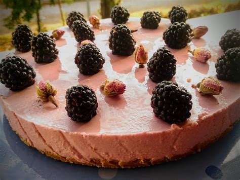 Cheesecake Od Kupina Bez Pecenja Coolinarika