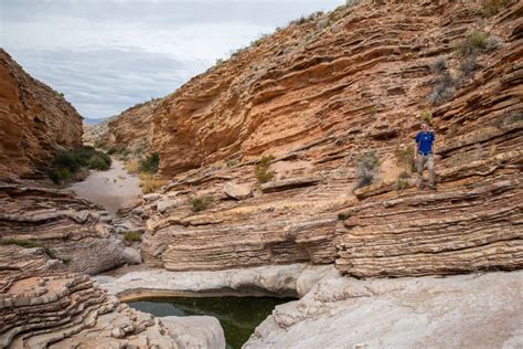 How to Hike the Ernst Tinaja Trail in Big Bend National Park – Earth ...