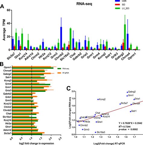 Qrt Pcr Validation Of Rna Seq A Average Tpm Values Of Degs Obtained