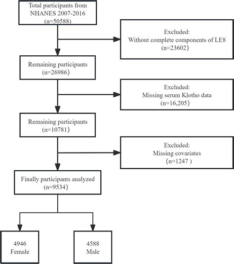Frontiers Sex Differences In The Association Between Lifes Essential