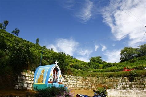 Mysore To Ooty Packages By Car | Mysore Ooty Tour Packages