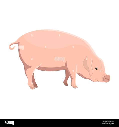 Vector illustration of a pig Stock Vector Image & Art - Alamy