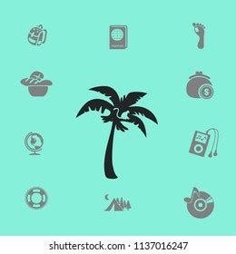 Coconut Palm Tree Black Vector Illustration Stock Vector Royalty Free