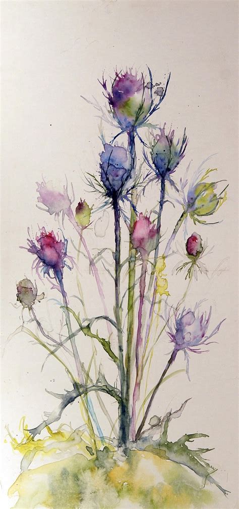 Watercolor Fine Art Print Scottish Decor Thistle Art Etsy Thistles