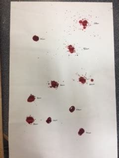 Blood Splatter Experiment Forensic Science