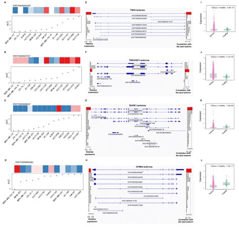 Validation Of The Candidate Isoforms Predictive Of Response To A E I