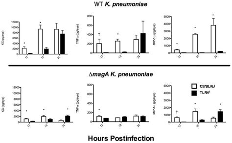 Delay In Proinflammatory Cytokine Production In Tlr Mice C Bl J