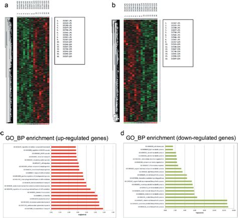 Microarray Analysis Of Monocyte Derived Dcs Activated With Lps In The