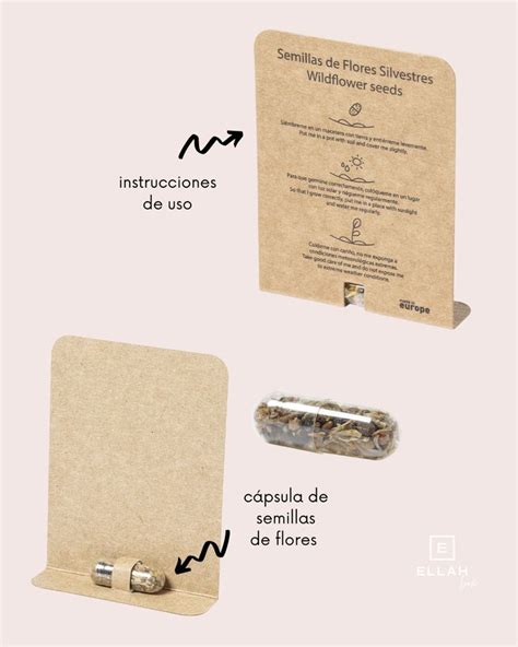 Tarjeta C Psula De Semillas Regalos De Boda Para Invitados Regalos