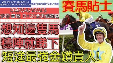 【賽馬貼士提供】20230409 沙田 想知邊隻馬穩陣就睇下上次貼士勁中短途最強金鑽貴人 賽馬貼士 賽馬 賽馬投注 賽馬