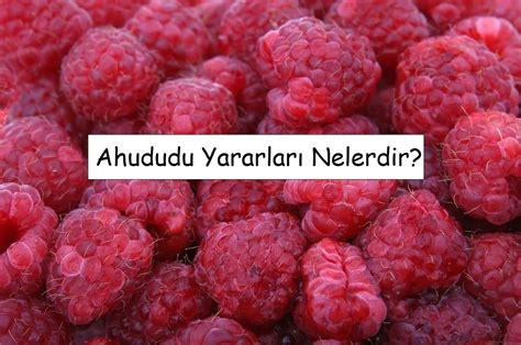 Ahududu Yararları Nelerdir Gelecekten Net