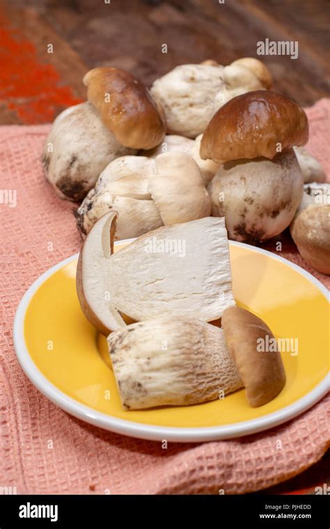 Fresh Raw Whole White Boletus Tasty Edible Mushrooms Close Up Ready To